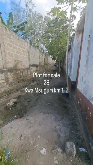 Kiwanja kinauzwa Mbezi Kwa Msuguri, Dar Es Salaam (400 sqm)