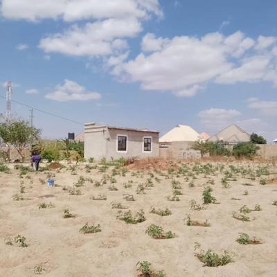 Kiwanja kinauzwa Michese, Dodoma (600 sqm) Kiwanja kinauzwa Michese, Dodoma (600 sqm)