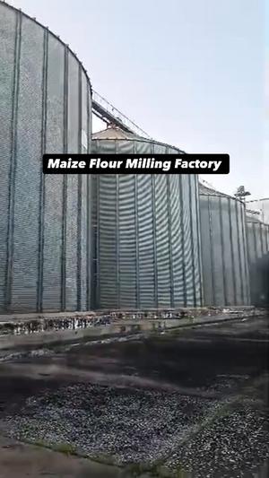 Factory for Sale in Tanga (10 acre) Factory for Sale in Tanga (10 acre)