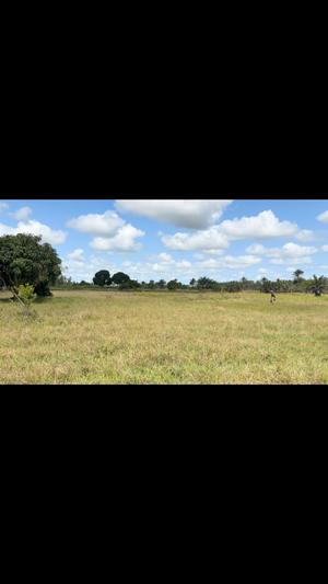 Residential Plot for Sale in Mwasonga, Dar Es Salaam (4.5 acre) Residential Plot for Sale in Mwasonga, Dar Es Salaam (4.5 acre)