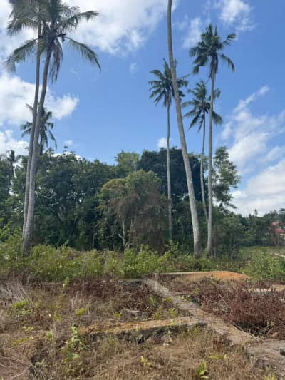 Nyumba ya vyumba viwili inauzwa Kianga, Mtwara