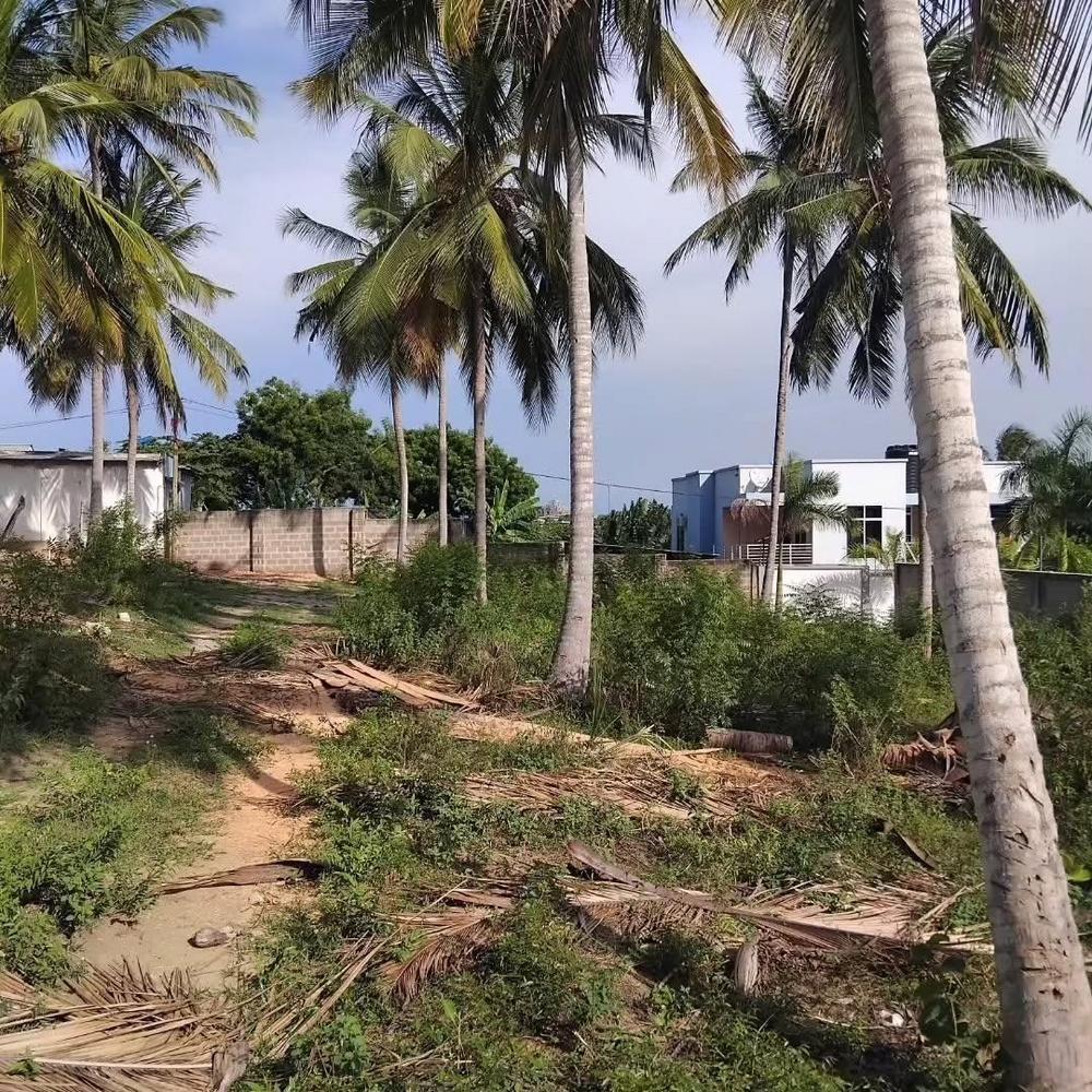 media -4