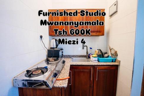 Studio Apartment for Rent in Mwananyamala, Dar Es Salaam