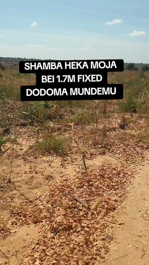 Farm for Sale in Mundemu, Dodoma (1 acre) Farm for Sale in Mundemu, Dodoma (1 acre)