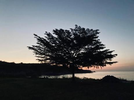 Beach Plot kinauzwa Igombe, Mwanza (11 acre) Beach Plot kinauzwa Igombe, Mwanza (11 acre)