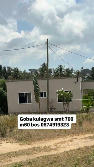 Kiwanja kinauzwa Kyoma Makongo, Dar Es Salaam Kiwanja kinauzwa Kyoma Makongo, Dar Es Salaam