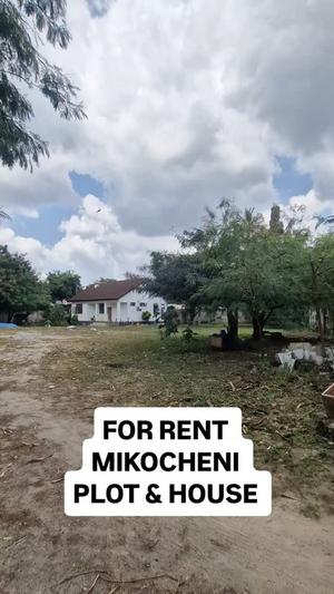 House for Rent in Mikocheni, Dar Es Salaam House for Rent in Mikocheni, Dar Es Salaam