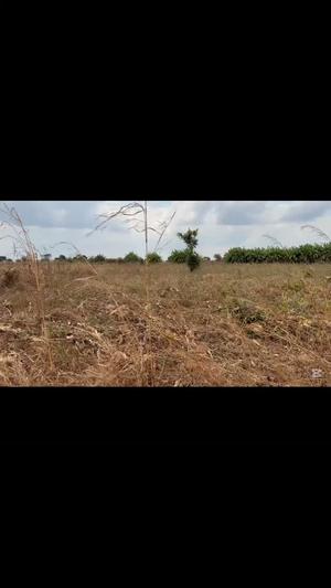 Residential Plot for Sale in Masigira, Ruvuma (2 acre) Residential Plot for Sale in Masigira, Ruvuma (2 acre)