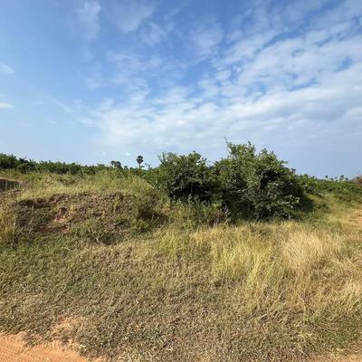 Beach Plot kinauzwa Mwambani, Songwe (8.3 acre) Beach Plot kinauzwa Mwambani, Songwe (8.3 acre)