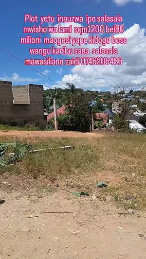 Kiwanja kinauzwa Salasala, Dar Es Salaam sqm 1200 Kiwanja kinauzwa Salasala, Dar Es Salaam sqm 1200