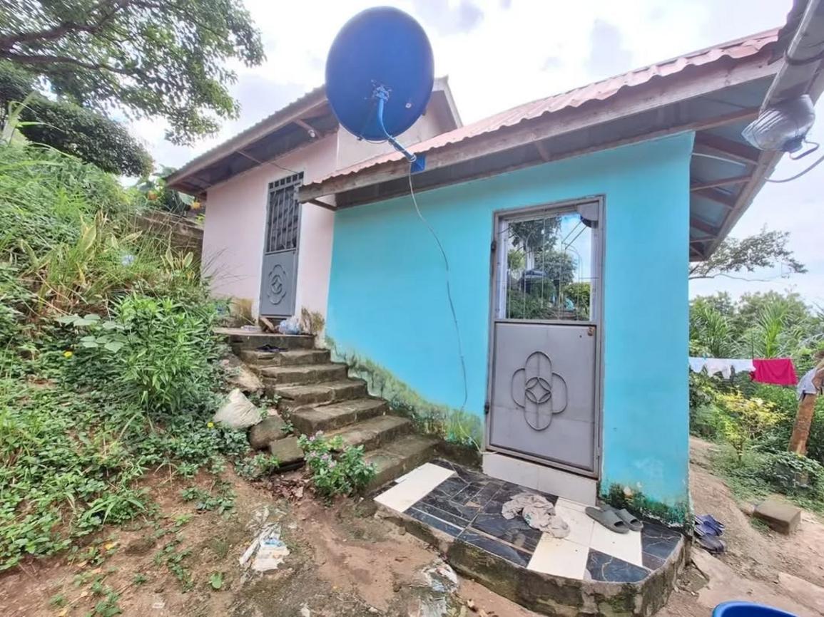  media -1