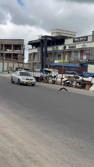 Residential/Commercial Plot for Sale in Goba Road, Dar Es Salaam (800 sqm) Residential/Commercial Plot for Sale in Goba Road, Dar Es Salaam (800 sqm)