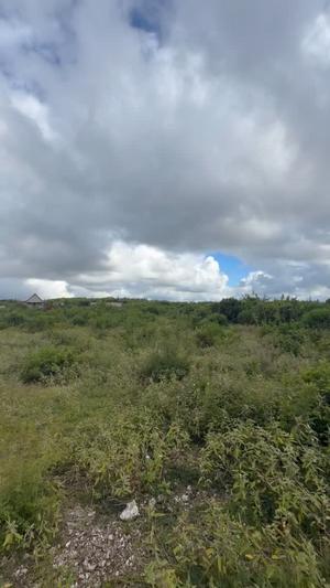 Beach Plot for Sale in Makunduchi Kigaeni, Zanzibar - Unguja South (2000 sqm)