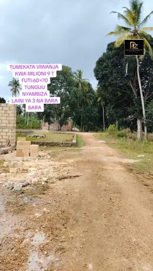 Kiwanja kinauzwa Tunguu Njia ya Nyambiza, Zanzibar (4200 sqm)