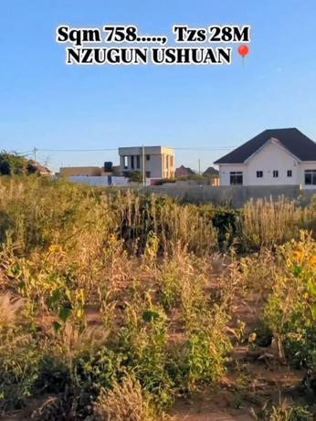 Plot for sale in Nzuguni A Block, Dodoma sqm 758