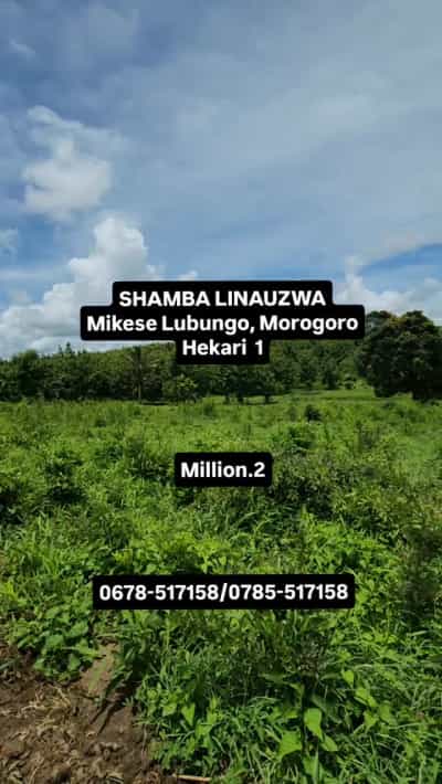 Shamba linauzwa Mikese Lubungo, Morogoro