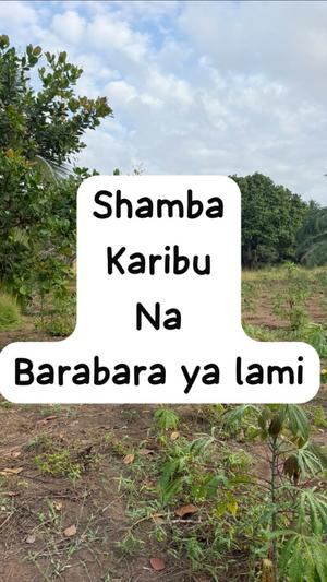 Farm for Sale in Mwarusembe, Pwani (1 acre) Farm for Sale in Mwarusembe, Pwani (1 acre)