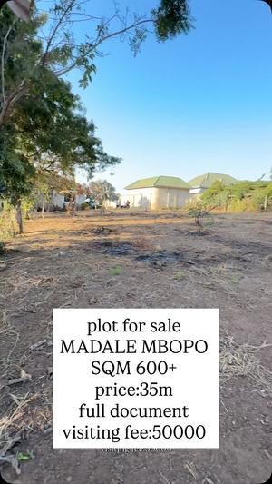 Kiwanja kinauzwa Madale Mpopo, Dar Es Salaam (600 sqm) Kiwanja kinauzwa Madale Mpopo, Dar Es Salaam (600 sqm)
