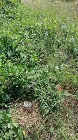 Plot for sale in Iwambi, Mbeya
