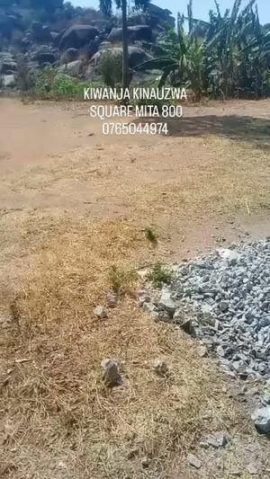 Residential Plot for Sale in Ilemela Buswelu, Mwanza (800 sqm) Residential Plot for Sale in Ilemela Buswelu, Mwanza (800 sqm)