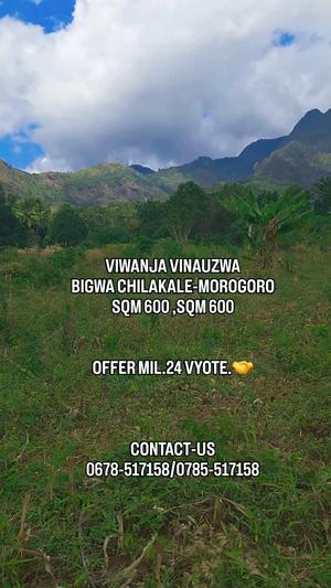Plots for sale in Bigwa Chilakale, Morogoro sqm 600