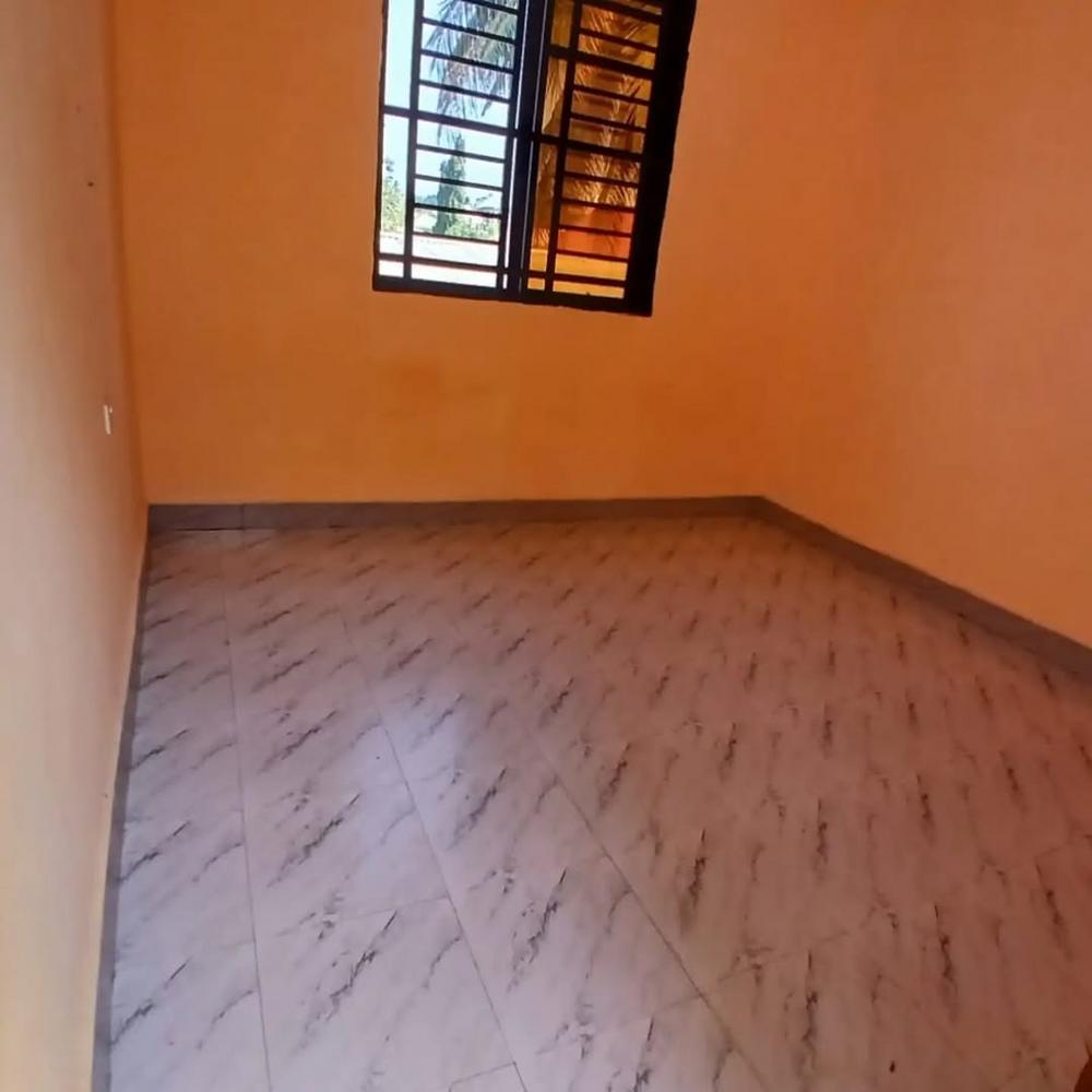 media -6 media -6
