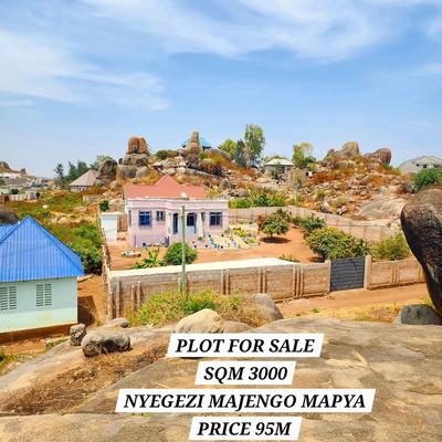 Kiwanja kinauzwa Nyegenzi - Majengo Mapya, Dodoma (3000 sqm) Kiwanja kinauzwa Nyegenzi - Majengo Mapya, Dodoma (3000 sqm)