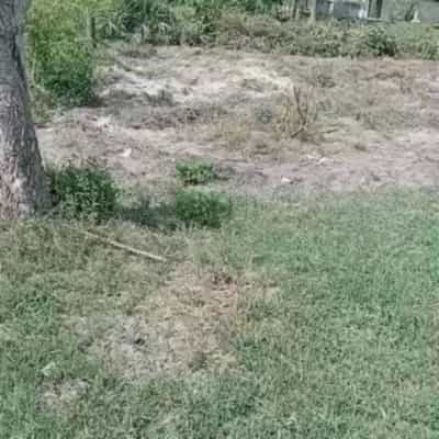 Nyumba ya vyumba vitatu inauzwa Chanika Buyuni, Dar Es Salaam (625 sqm)