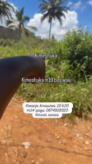 Kiwanja kinauzwa Makongo, Dar Es Salaam