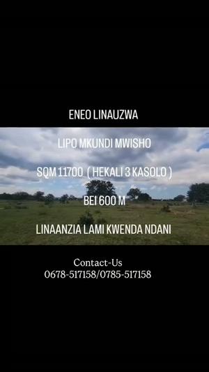 Residential/Commercial Plot for Sale in Mkundi Mwisho, Morogoro (11700 sqm) Residential/Commercial Plot for Sale in Mkundi Mwisho, Morogoro (11700 sqm)