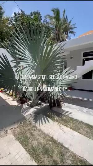 1 Bedroom House/Apartment for Rent in Makongo Mwanzoni, Dar Es Salaam