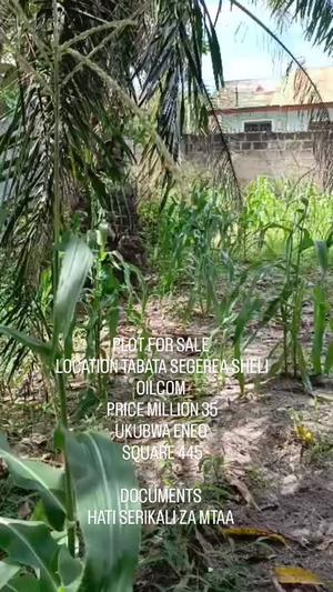 Residential Plot for Sale in Tabata Segerea, Dar Es Salaam (445 sqm)