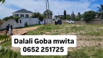 Residential Plot for Sale in Goba, Dar Es Salaam (1650 sqm) Residential Plot for Sale in Goba, Dar Es Salaam (1650 sqm)