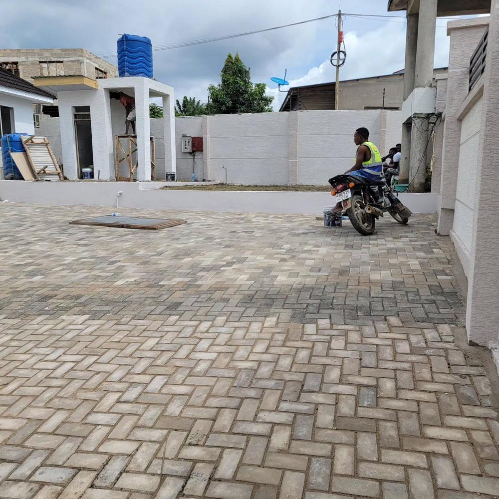 media -6 media -6