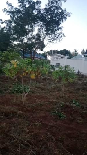 Kiwanja kinauzwa Pugu Shule, Dar Es Salaam sqm 600 Kiwanja kinauzwa Pugu Shule, Dar Es Salaam sqm 600
