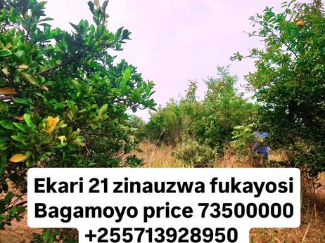 Shamba linauzwa Fukayosi, Mtakuja, Pwani acre 21 Shamba linauzwa Fukayosi, Mtakuja, Pwani acre 21