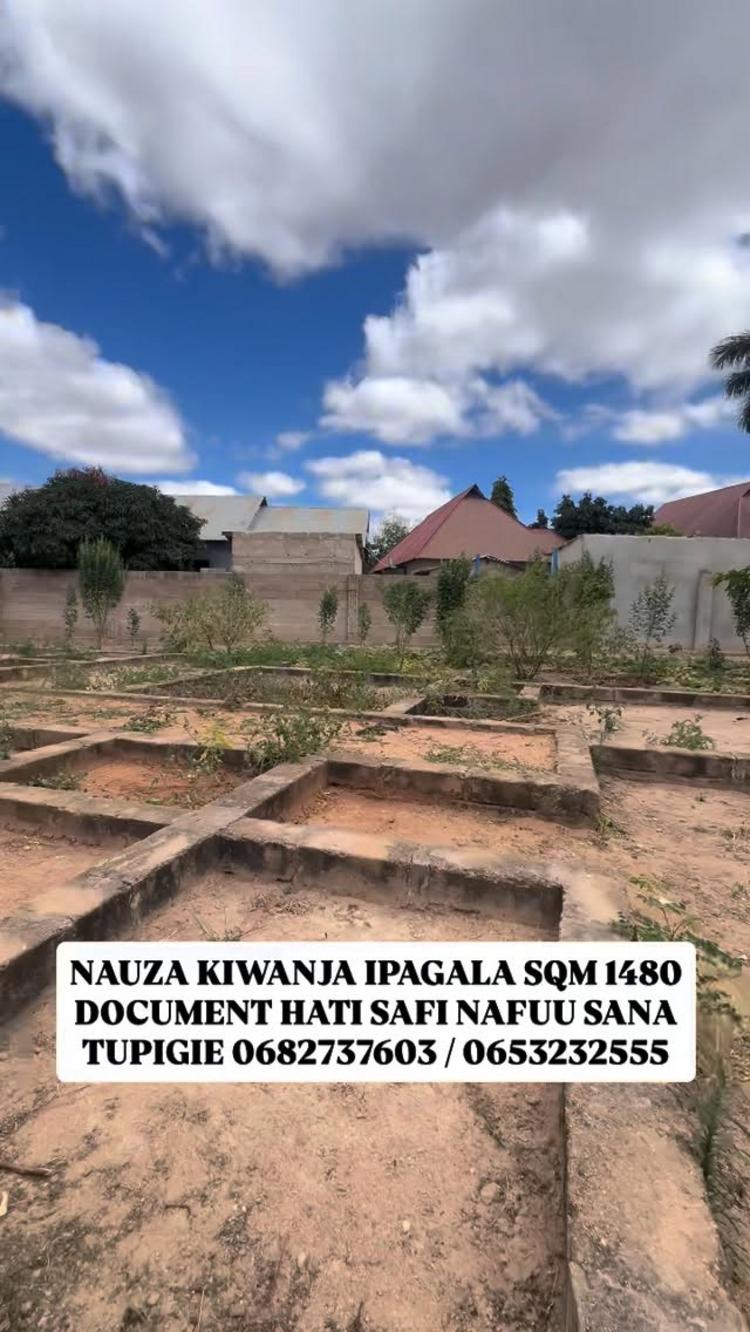 video thumbnail video thumbnail