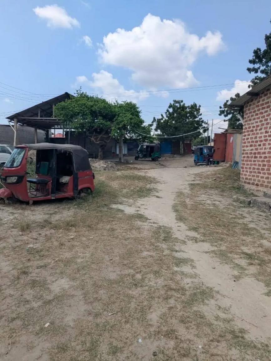 media -2 media -2
