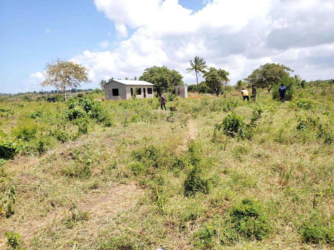 media -4