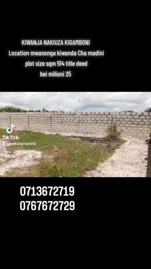 Plot for sale in Mwasonga, Dar Es Salaam sqm 514