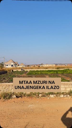Kiwanja kinauzwa Ilazo Extension, Dodoma sqm 800
