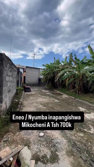 Nyumba inapangishwa Mikocheni A, Dar Es Salaam Nyumba inapangishwa Mikocheni A, Dar Es Salaam