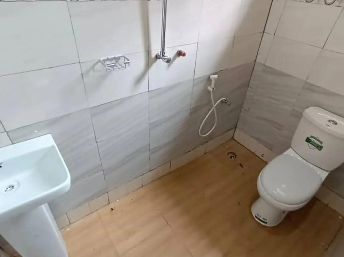 media -6