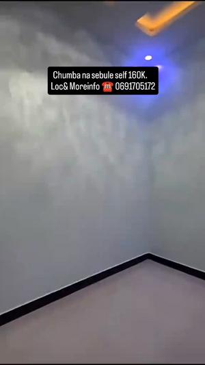 1 Bedroom House for Rent in Mwanza
