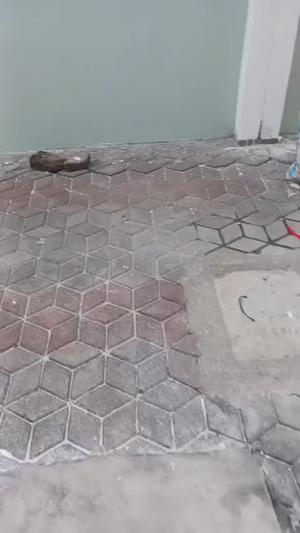2 Bedrooms Apartment for Rent in Temeke Pile, Dar Es Salaam 2 Bedrooms Apartment for Rent in Temeke Pile, Dar Es Salaam