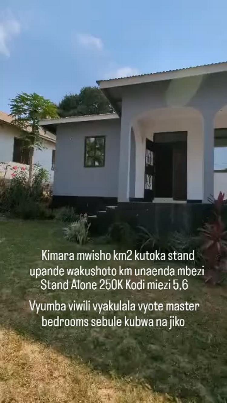 media -1 media -1