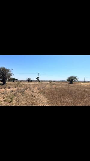 Residential Plots for Sale in Kitelela, Dodoma