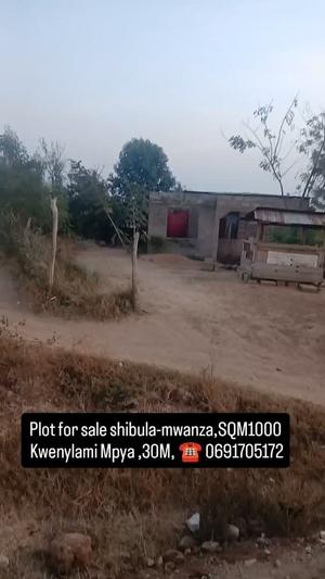 Kiwanja kinauzwa Shibula, Mwanza sqm 1000 Kiwanja kinauzwa Shibula, Mwanza sqm 1000