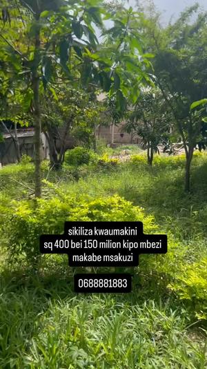 Kiwanja kinauzwa Mbezi Makabe Msakuzi, Dar Es Salaam (400 sqm) Kiwanja kinauzwa Mbezi Makabe Msakuzi, Dar Es Salaam (400 sqm)