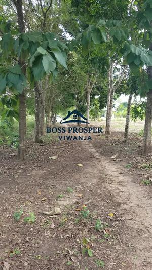 Viwanja vinauzwa Kibaha Kwa Mfipa, Pwani Viwanja vinauzwa Kibaha Kwa Mfipa, Pwani